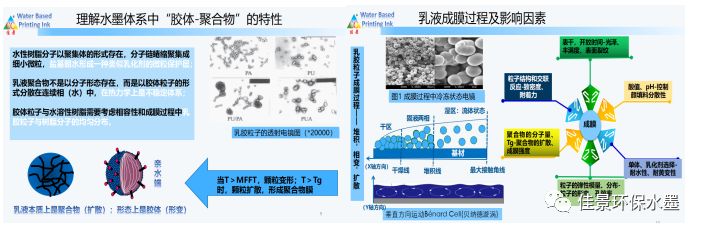 2-19101Q5215Bb.jpg 2-19101Q5215Bb.jpg