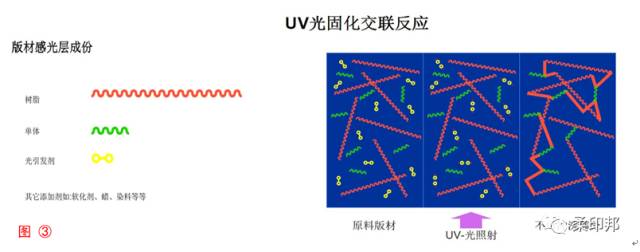 2-19101Z93Q5S4.jpg 2-19101Z93Q5S4.jpg